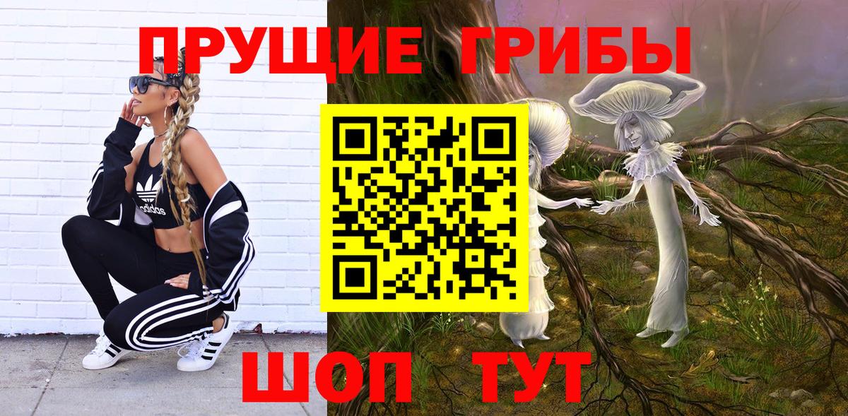 МЕФ Краснознаменск