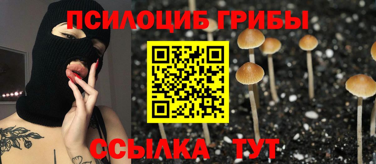 Псилоцибиновые грибы Magic Shrooms Краснознаменск